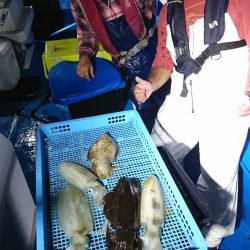 第三共栄丸 釣果