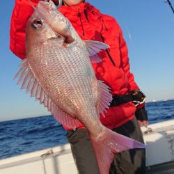 だて丸 釣果