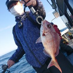 だて丸 釣果