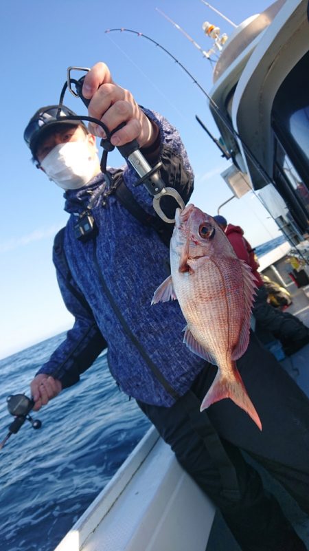 だて丸 釣果
