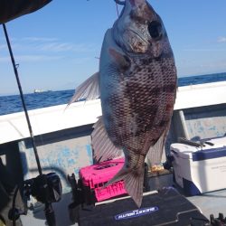 だて丸 釣果