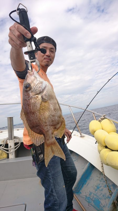 だて丸 釣果