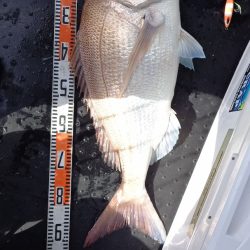 第二龍勢丸 釣果