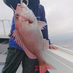 だて丸 釣果