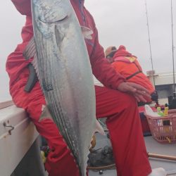 だて丸 釣果