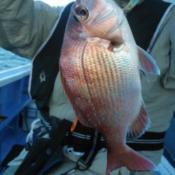新幸丸 釣果