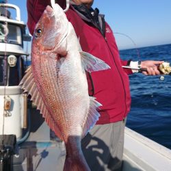 だて丸 釣果