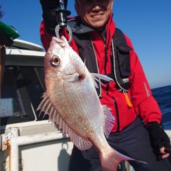だて丸 釣果