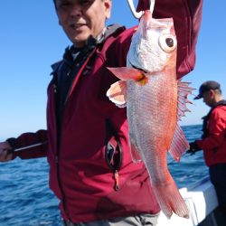 だて丸 釣果