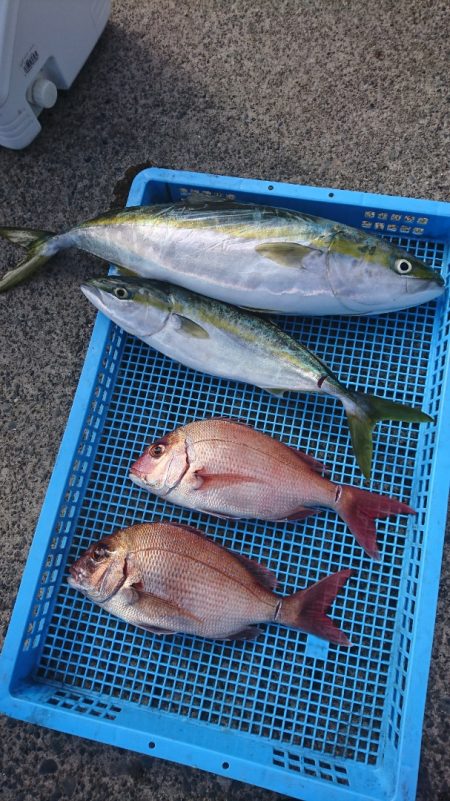 第三共栄丸 釣果