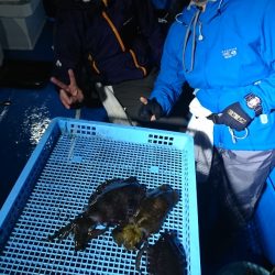 第三共栄丸 釣果