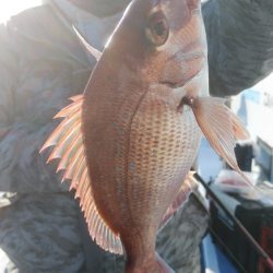 新幸丸 釣果