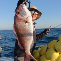 だて丸 釣果