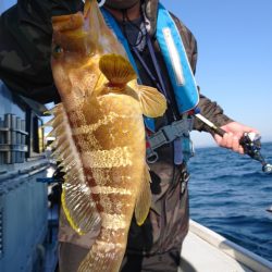 だて丸 釣果