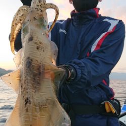 シースナイパー海龍 釣果