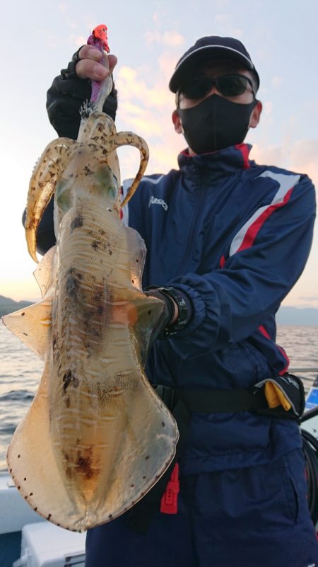 シースナイパー海龍 釣果