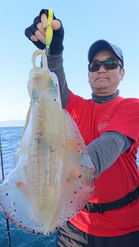 シースナイパー海龍 釣果