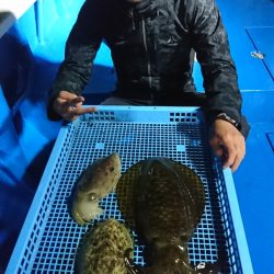 第三共栄丸 釣果