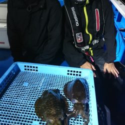 第三共栄丸 釣果