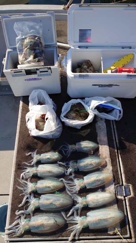 ブルースフィッシングサービス 釣果