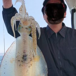 シースナイパー海龍 釣果