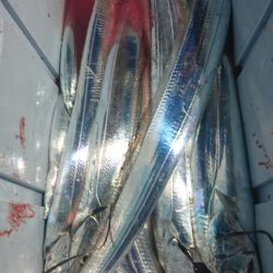 シースナイパー海龍 釣果