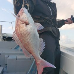 だて丸 釣果