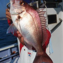 新幸丸 釣果