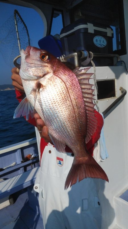 新幸丸 釣果
