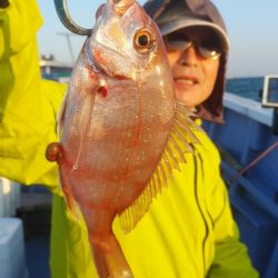 新幸丸 釣果