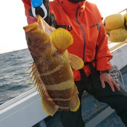 だて丸 釣果