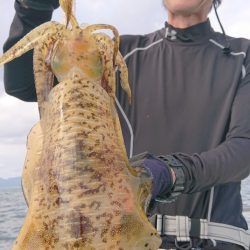 シースナイパー海龍 釣果