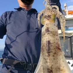 シースナイパー海龍 釣果