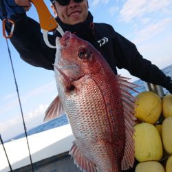 だて丸 釣果