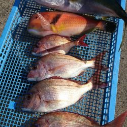 第三共栄丸 釣果