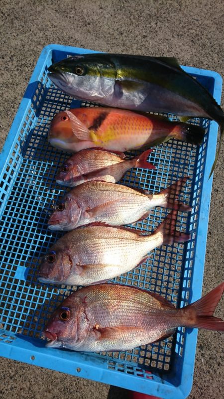 第三共栄丸 釣果