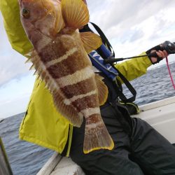 だて丸 釣果