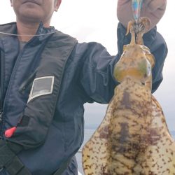シースナイパー海龍 釣果