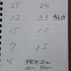 金沢八景鴨下丸 釣果