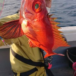 海皇丸 釣果