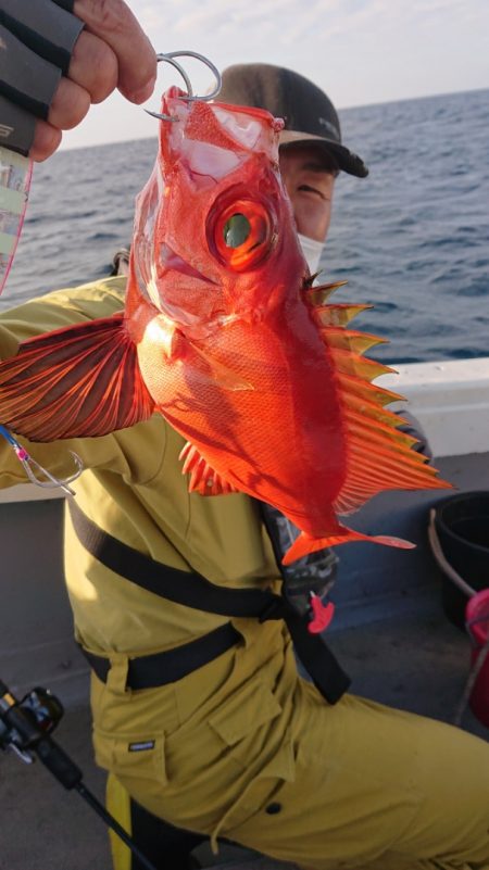 海皇丸 釣果