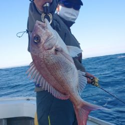 だて丸 釣果