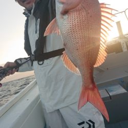 だて丸 釣果