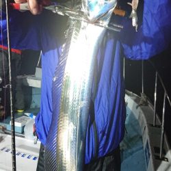 シースナイパー海龍 釣果