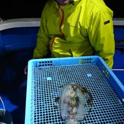 第三共栄丸 釣果