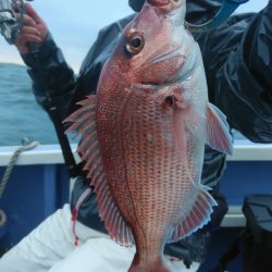 新幸丸 釣果