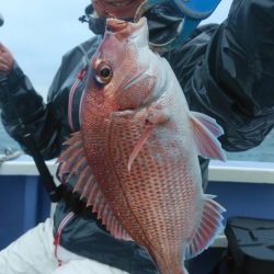 新幸丸 釣果