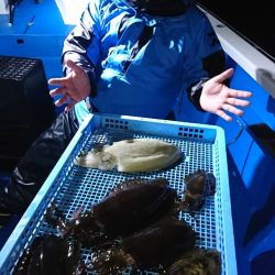 第三共栄丸 釣果