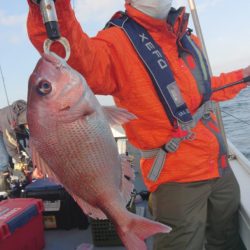 だて丸 釣果