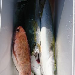 第三共栄丸 釣果